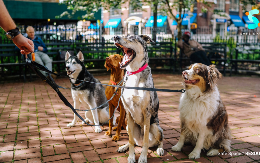 Stress Management For The Veterinary Care Staff